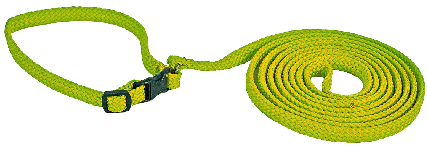 Halsband+Koppel