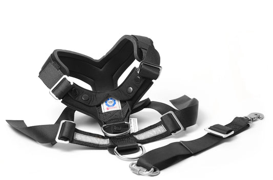 Mimsafe Allsafe Harness